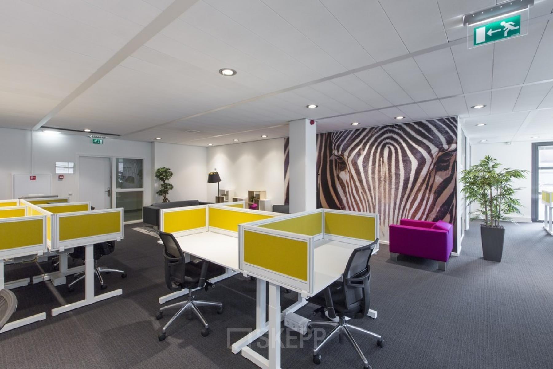 Contemporary furnished office space with vibrant yellow partition desks and a zebra artwork on the wall, located at Lange Dreef 11, Vianen Utr.