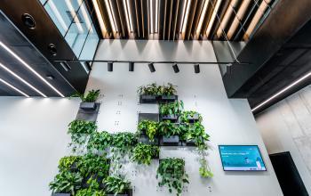 dekoracja kwiatowa w lobby