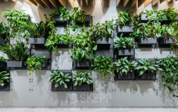 dekoracja kwiatowa w lobby
