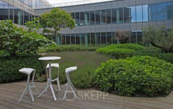the roof terrace at the back of the building