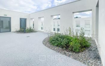 Moderner Außenbereich in Zürich Altstetten mit begrünten Flächen und hellem Bodenbelag, ideal zur Bürofläche mieten.