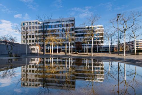 Moderne Bürofläche mieten in Zürich Seebach, Schärenmoosstrasse 77, hell und einladend gestaltet.