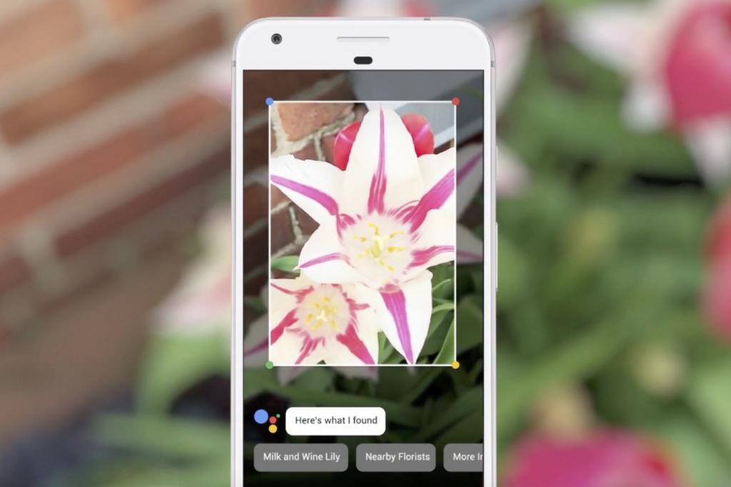 google lens tool artificial intelligence kunstmatige intelligentie