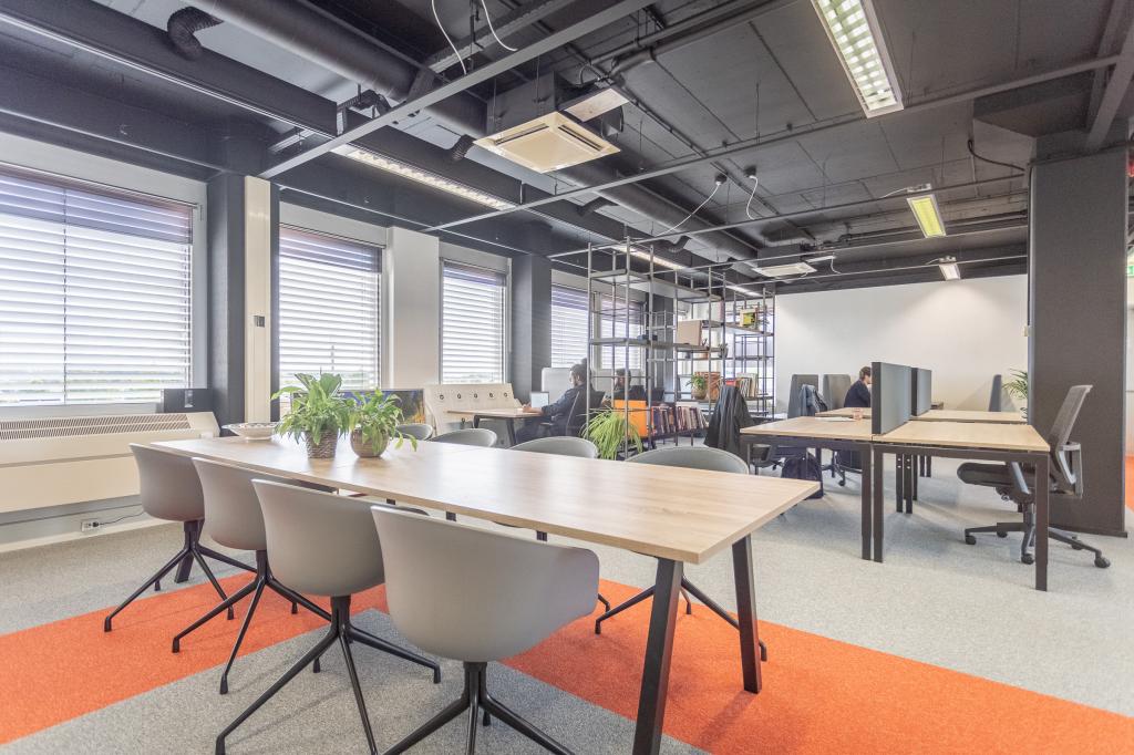 shared space holland startup