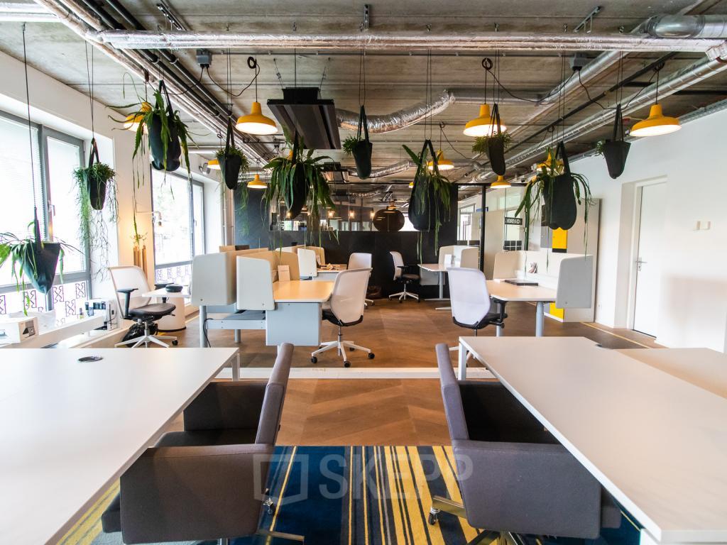 Ist dein Büro bereits mit einem grünen Bürodesign ausgestattet?!